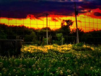 Scenic view of field against sky at sunset