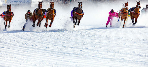 Group of people in the winter