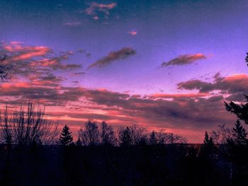 Silhouette trees against sky during sunset