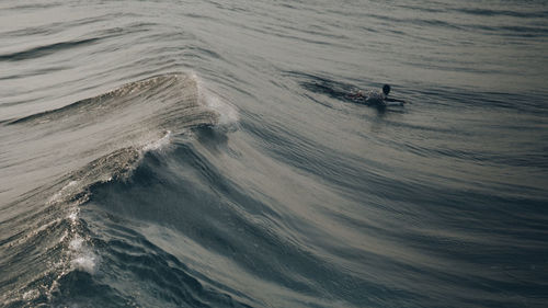 High angle view of people on sea