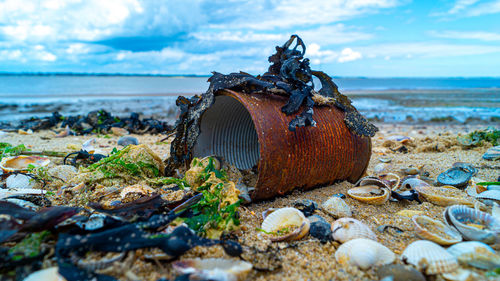 Close up of rusted can weathered on beach sand pollution litter rubbish in the ocean