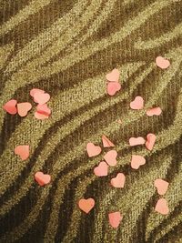 Close-up of pink petals on sand