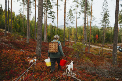 Man standing by plants in forest