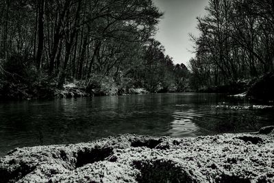 Scenic view of lake in forest against sky