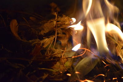 Close-up of illuminated water at night