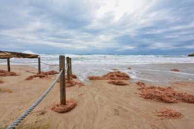 Scenic view of beach against sky