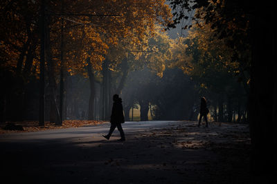 Silhouette of woman at night