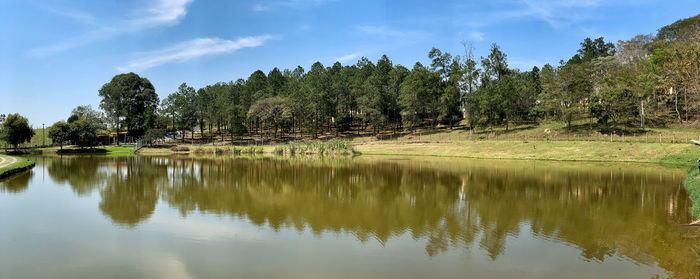 Reflection of trees in lake against sky