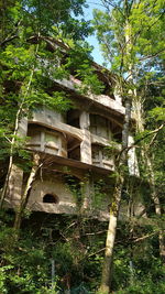 Low angle view of old building in forest