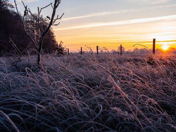 Scenic view of field against sky during sunset
