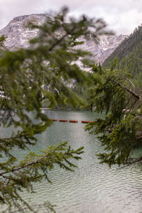 Scenic view of lake amidst trees against sky