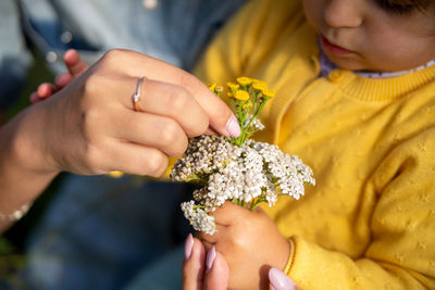 Close-up of boy holding yellow flower