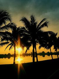 Silhouette trees against sky during sunset