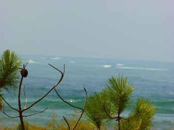 Scenic view of sea against clear sky