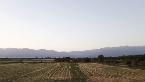 Scenic view of agricultural field against clear sky