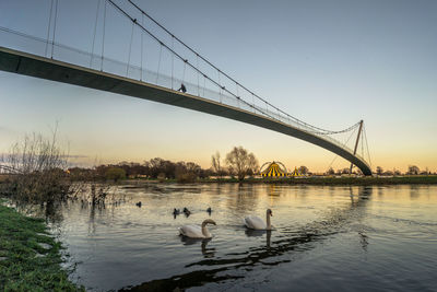 Birds on bridge over river against sky