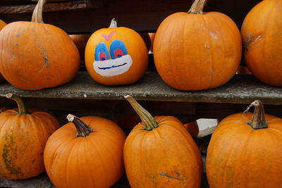 Pumpkins on shelf at market for sale