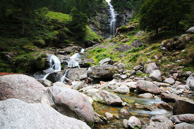 Scenic view of waterfall in forest