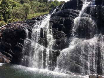 Scenic view of waterfall in forest