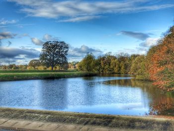 Reflection of trees in water