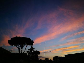 Low angle view of silhouette trees against sky at sunset