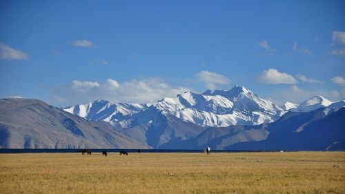 Scenic view of snowcapped mountains