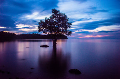 Silhouette tree by lake against sky during sunset