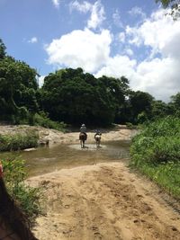 People riding horse in lake against sky