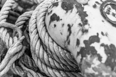 Close-up of rope tied on boat