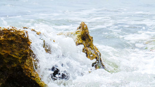 Waves splashing on rocks at shore