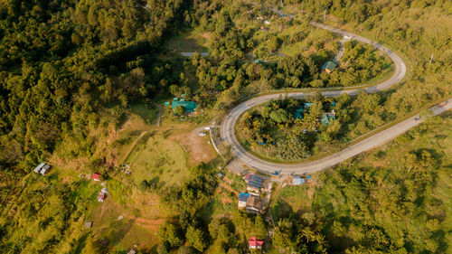 High angle view of road amidst trees