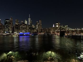 Night view of manhattan skyline from brooklyn park 