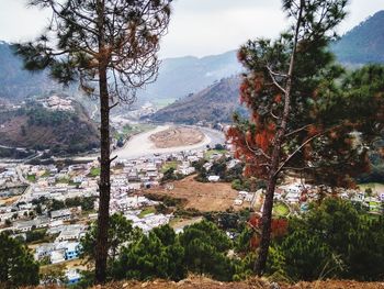 Trees and townscape against sky