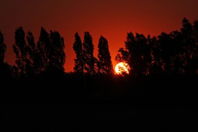 Silhouette trees against sky during sunset