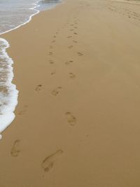 High angle view of footprints on sand at beach