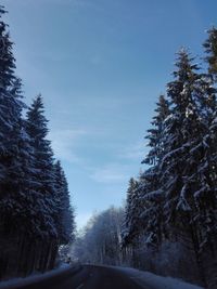 Road amidst trees against sky during winter