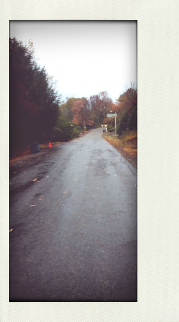 transfer print, the way forward, auto post production filter, transportation, diminishing perspective, tree, road, vanishing point, clear sky, sky, nature, copy space, tranquility, street, tranquil scene, outdoors, no people, day, country road, landscape