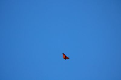 Low angle view of paragliding against clear blue sky