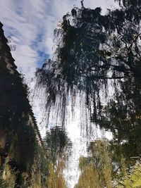 Reflection of trees in water against sky