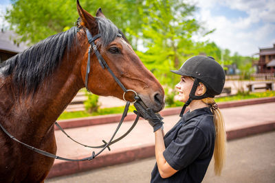 Close-up of horse standing outdoors