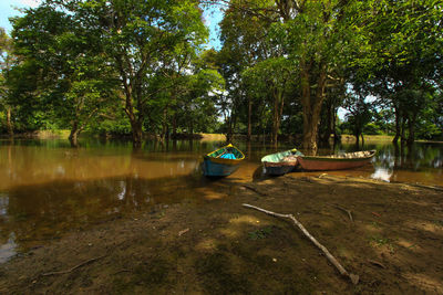 Boats in lake against trees in forest