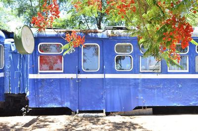 Old train against trees