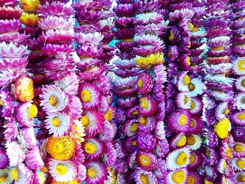 Full frame shot of multi colored flowers for sale