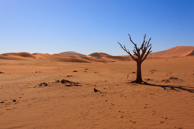 Scenic view of desert against clear blue sky