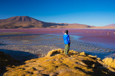 Rear view of person standing on field against clear blue sky at desert