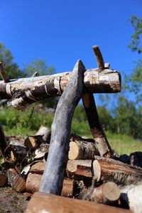 Close-up of rusty log