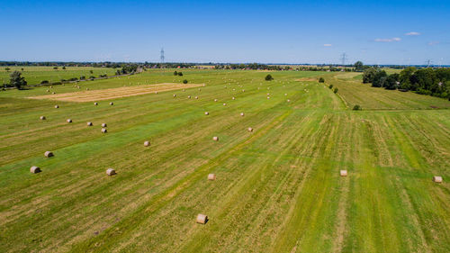 Hay bales on green landscape against blue sky