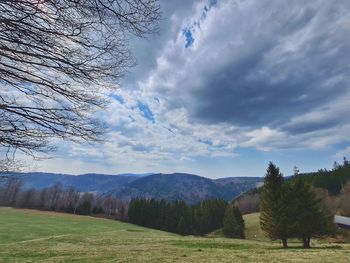 Scenic view of landscape against sky