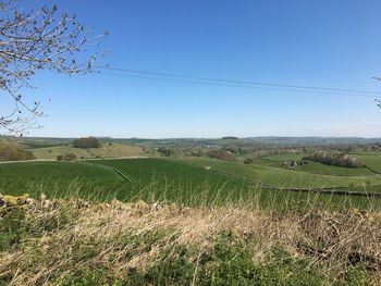 Scenic view of field against clear sky