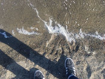 Low section of person standing on shore